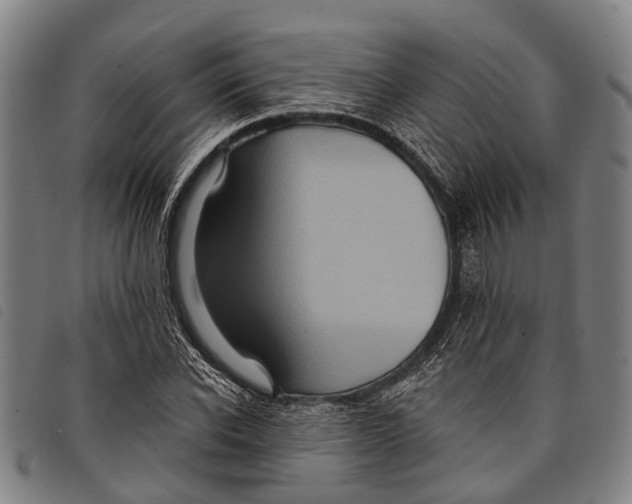 X0000097850926200804041503