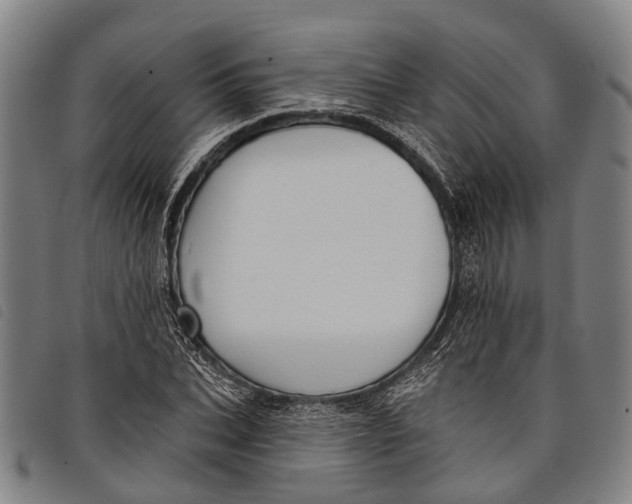 X0000097850927200804041503