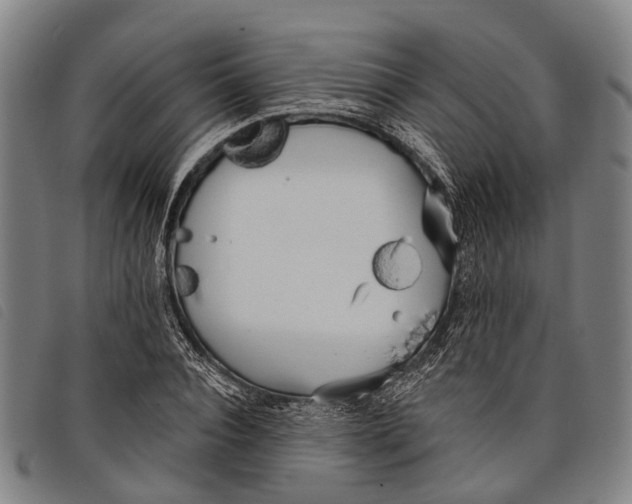 X0000097850928200804041503