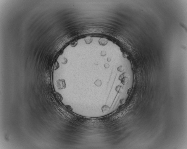 X0000097850929200804041503