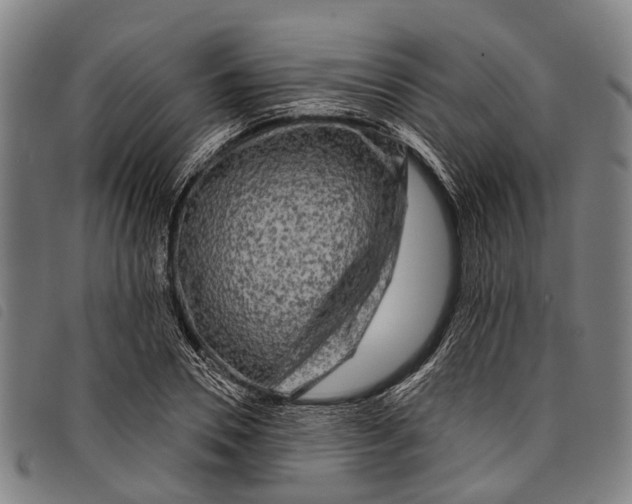 X0000097850930200804041503