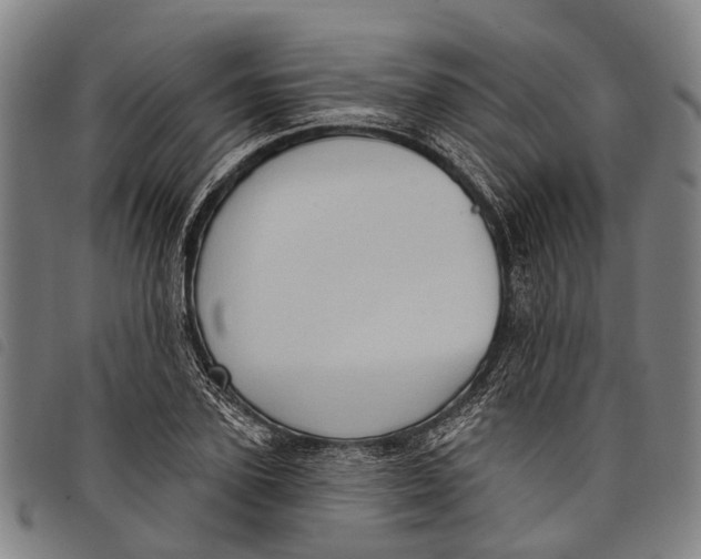 X0000097850931200804041503