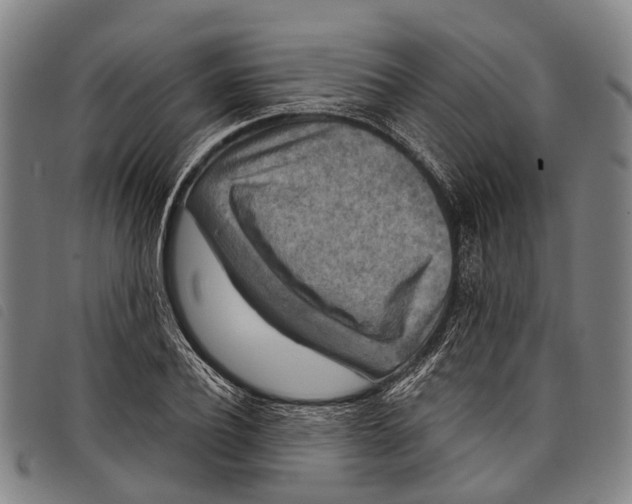 X0000097850932200804041503