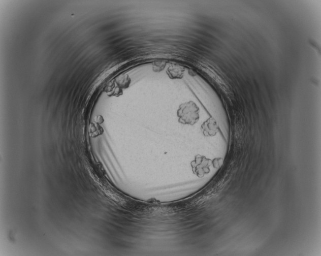 X0000097850933200804041503