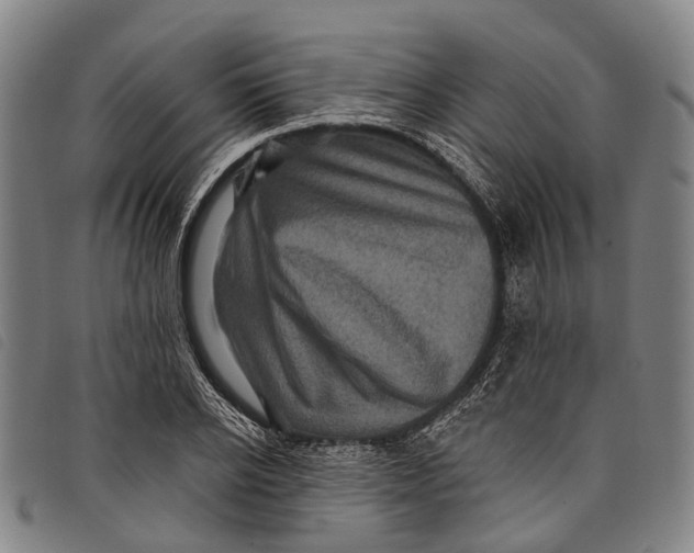 X0000097850934200804041503