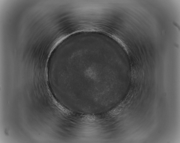 X0000097850935200804041503