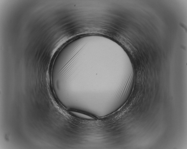 X0000097850936200804041503