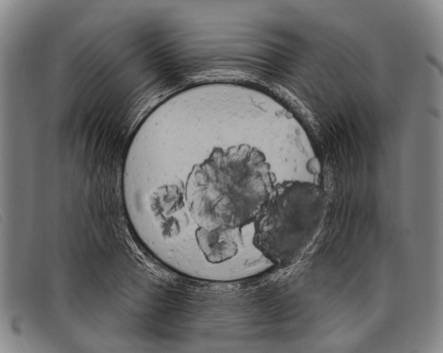 X0000097850937200804041503