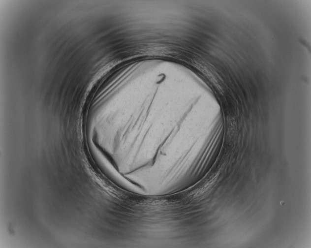 X0000097850939200804041503