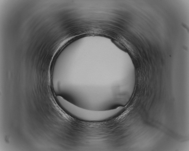 X0000097850940200804041503