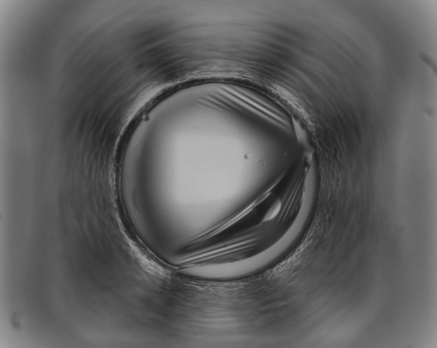 X0000097850942200804041503