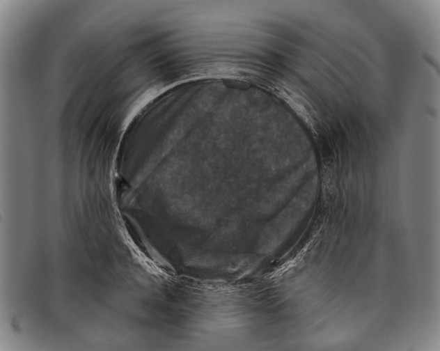 X0000097850944200804041503