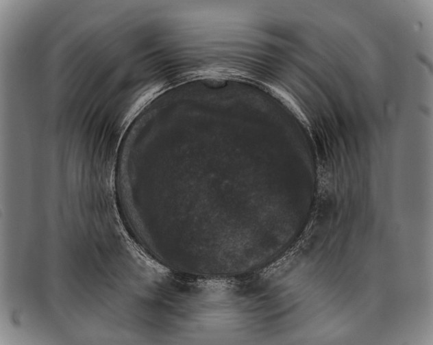 X0000097850946200804041503