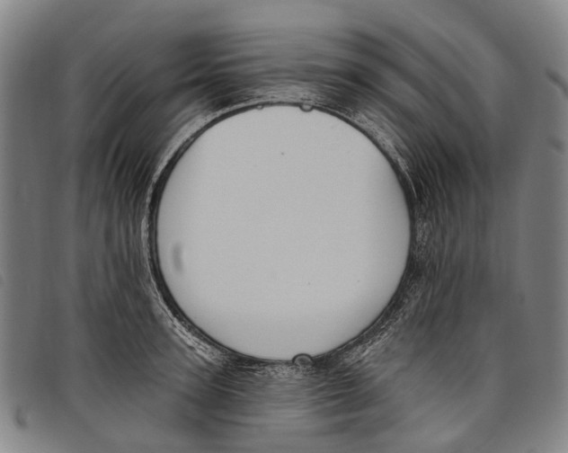 X0000097850947200804041503