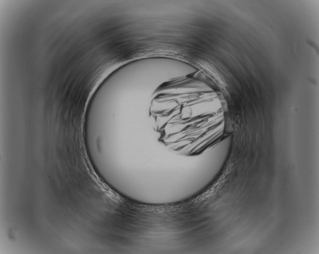 X0000097850948200804041503