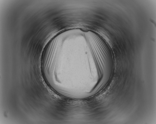 X0000097850949200804041503