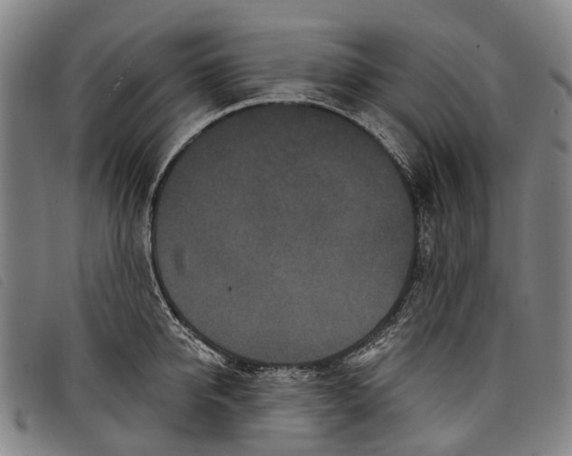 X0000097850950200804041503