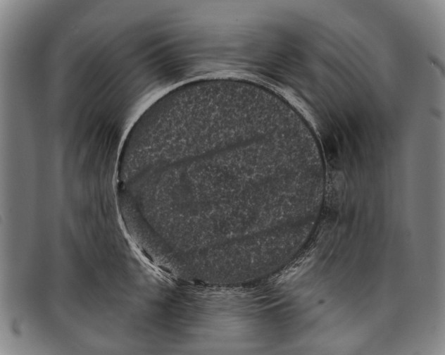 X0000097850951200804041503