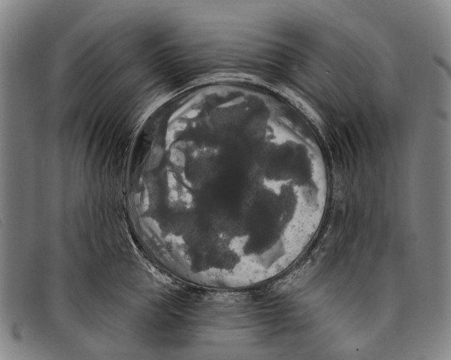 X0000097850953200804041503