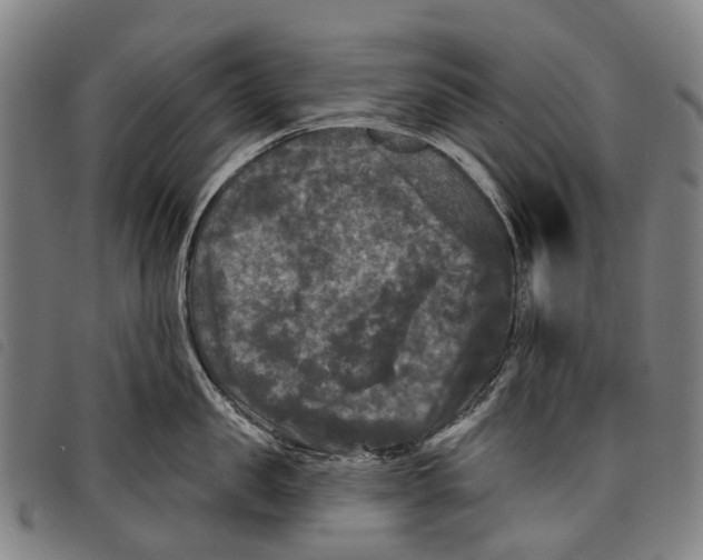 X0000097850957200804041503