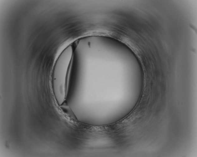 X0000097850960200804041503