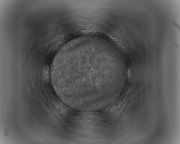 X0000097850963200804041502