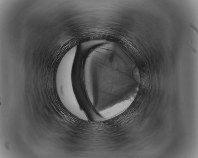 X0000097850964200804041502