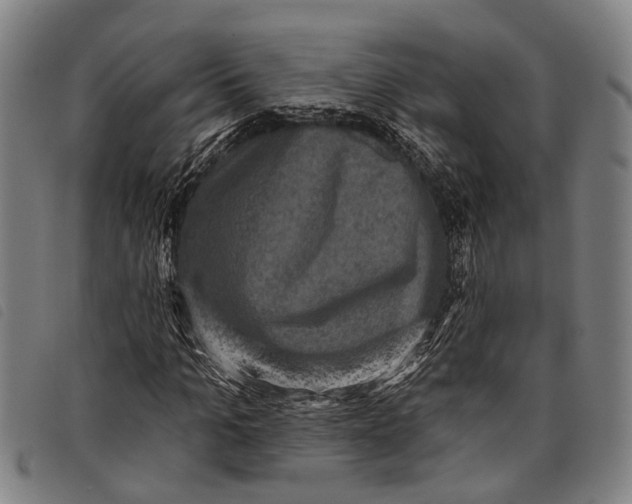 X0000097850965200804041502