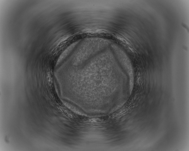 X0000097850966200804041502