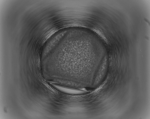 X0000097850969200804041502