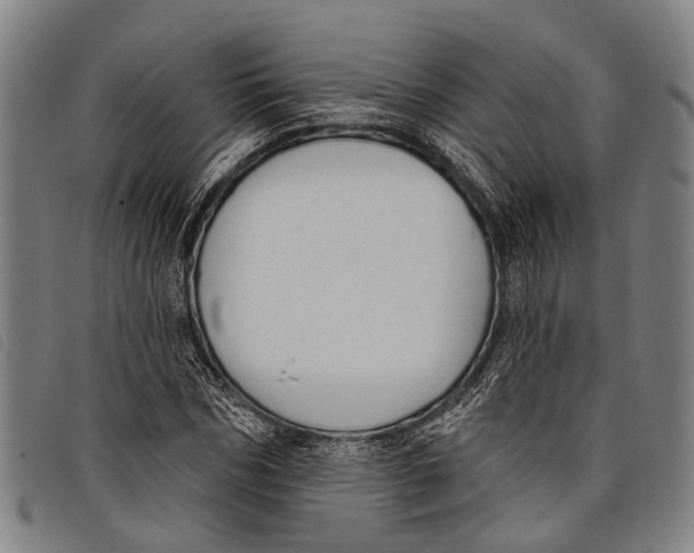 X0000097850970200804041502