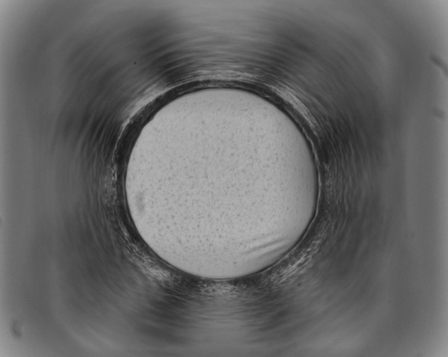 X0000097850971200804041502