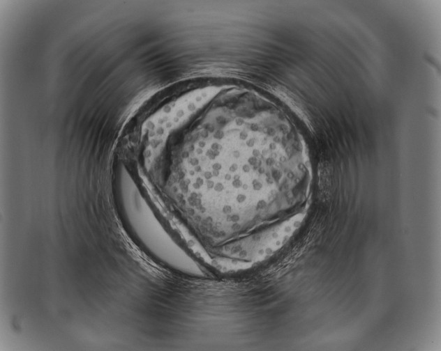 X0000097850972200804041502