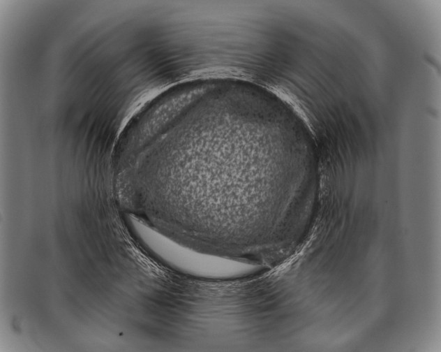 X0000097850973200804041502