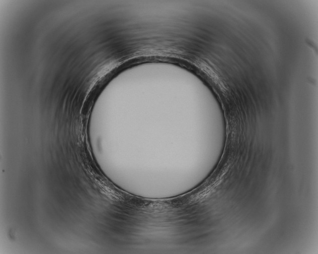 X0000097850974200804041502