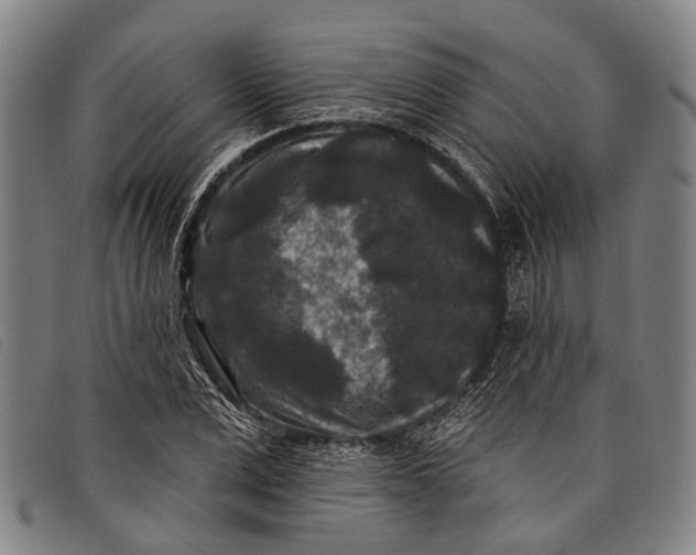 X0000097850975200804041502