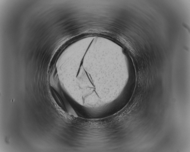 X0000097850976200804041502