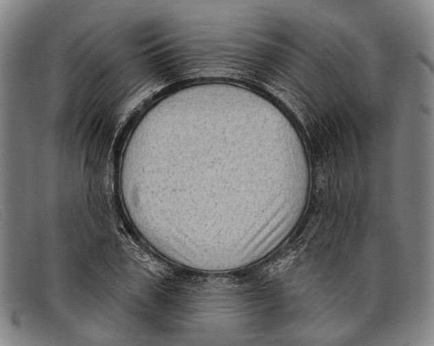 X0000097850979200804041502