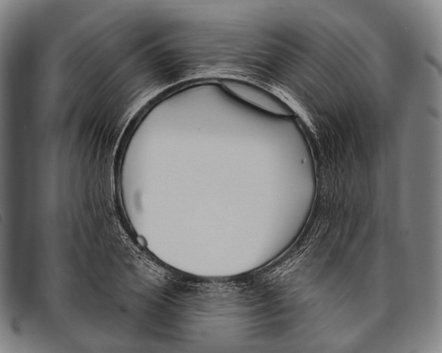 X0000097850980200804041502