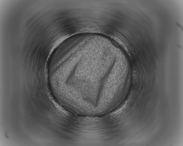 X0000097850981200804041502