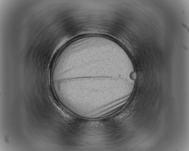 X0000097850982200804041502