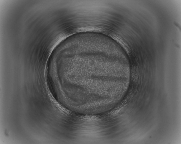 X0000097850983200804041502