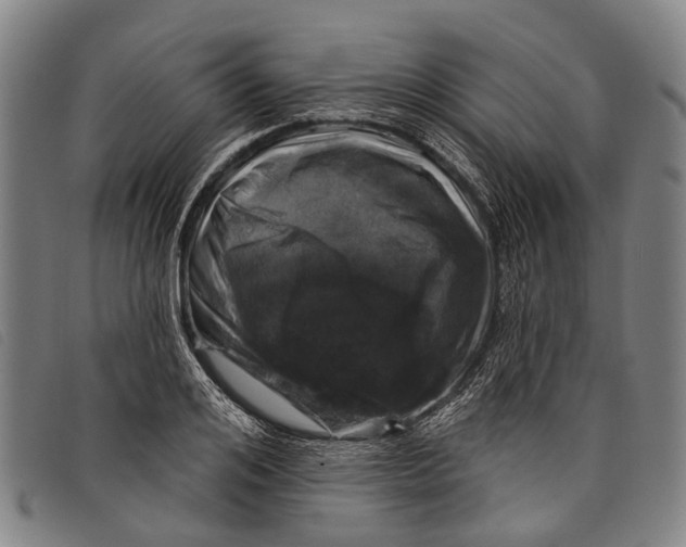 X0000097850984200804041502