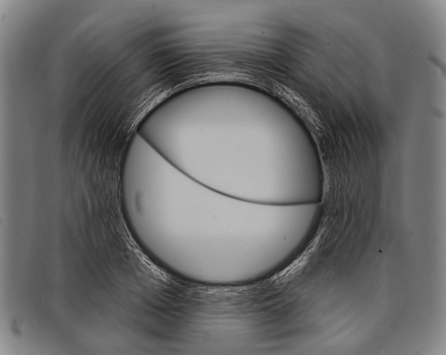 X0000097850985200804041502