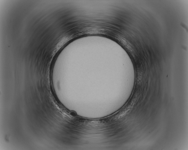 X0000097850986200804041502