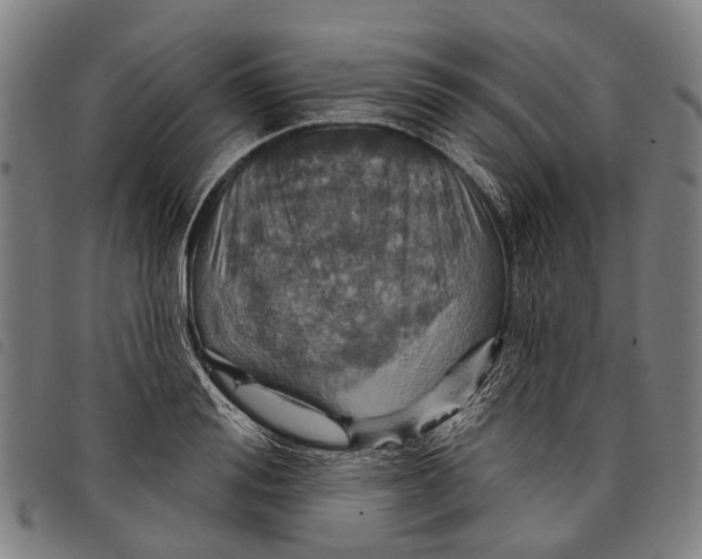 X0000097850988200804041502