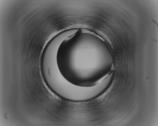 X0000097850989200804041502