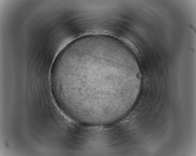 X0000097850990200804041502