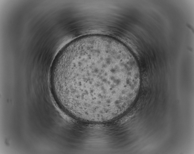 X0000097850991200804041502