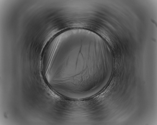 X0000097850992200804041502